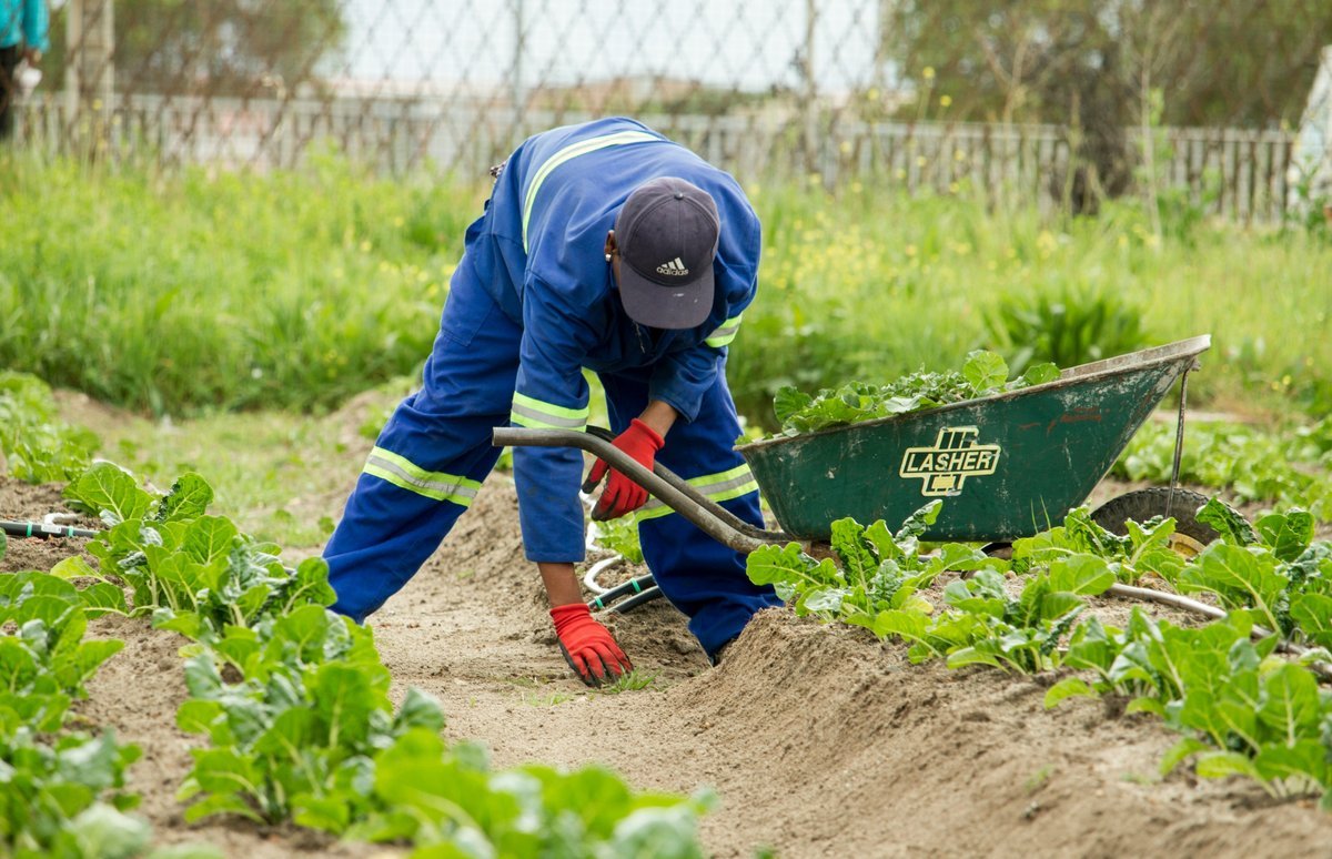 Agriculture and Farm Work